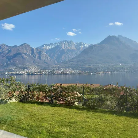Elda With Garden And View